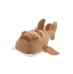 【KOTA・サメぬいぐるみシリーズ】ネコザメ　深海水魚