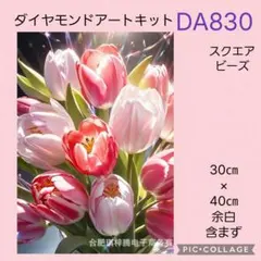 DA830★ダイヤモンドアートキット★スクエアビーズ