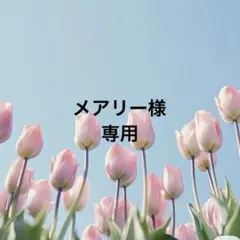 メアリー様専用❤️ミモザ柄❤️ドールチャーム❤️ハンドメイド❤️カントリードール