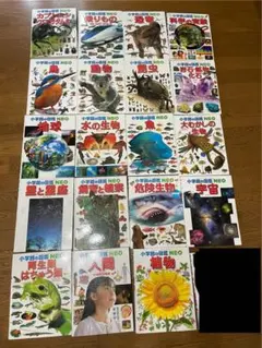 小学校図鑑 NEO 19冊セット