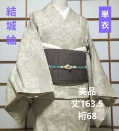 2026年最新】紬着物裄68の人気アイテム - メルカリ