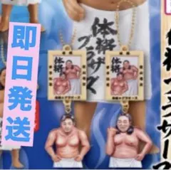 体格ブラザーズ ビッグボディーコレクション★額装キーホルダー●２個●ガチャ★秋山
