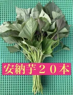 Hiro様 リクエスト 4点 まとめ商品