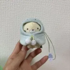 すみっコぐらし　とかげ　おきがえポンチョ　てのりぬいぐるみのサムネイル