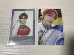 &TEAM NICHOLAS ニコラス シーグリ チェキ トレカ