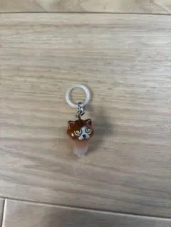 めじるしアクセサリー　なめこ栽培キット　ねこ