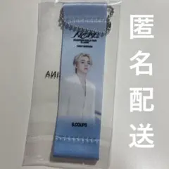 SEVENTEEN NEW_ イルコン　エスクプス　フラッグ　カプセルトイ