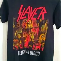 【Slayer】 Reign in Blood Tシャツのサムネイル