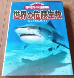 Item thumbnail for item 25da8008-7133-470b-a02d-5ddbaa1278c7