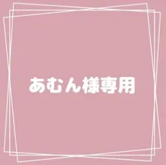 あむん様専用