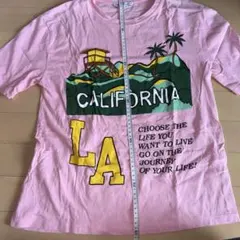 ZARA LA プリント　tシャツ ピンク　ストリートのサムネイル