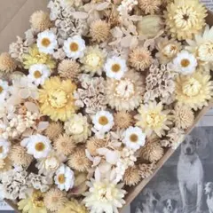 花材詰め合わせ　花材セット　クリームイエロー系　ドライフラワー