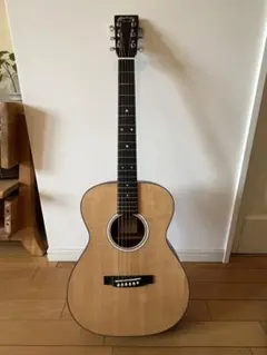 2026年最新】Martin 000-16GTの人気アイテム - メルカリ