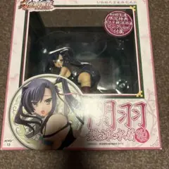 訳あり　開封　真・恋姫無双　関羽 競泳水着　のびのびver フィギュア