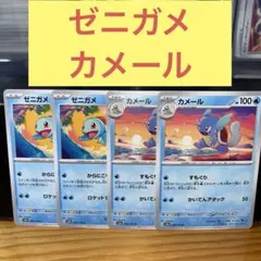 ゼニガメ カメール からにこもる すもぐり