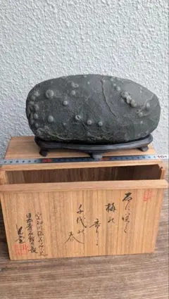 2025年最新】梅花石の人気アイテム - メルカリ