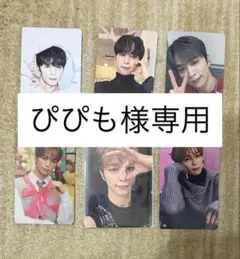 ぴぴも様専用
