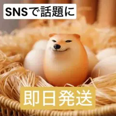 柴犬スクイーズ しばこ しばいぬ  卵型 ハード フィギア シバイヌ 1個セット