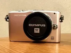 2026年最新】E-PM1の人気アイテム - メルカリ