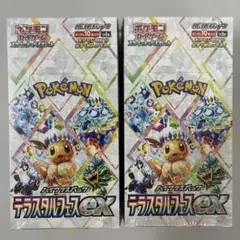 ポケモンカードゲーム テラスタルフェスex 未開封シュリンク付×2BOX