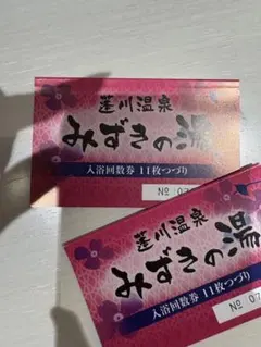 2026年最新】みずきの湯 回数券の人気アイテム - メルカリ