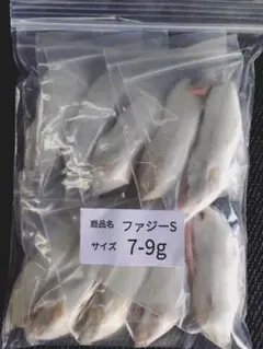送料無料 冷凍マウスファジー100匹 - メルカリ