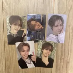 TREASURE LOVE PULSE タレントカード 5枚セット