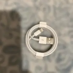 Lightning-USBケーブル