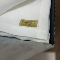 Item thumbnail for item 8ab585a0-2f9a-4196-94fd-45c12ecf3f73