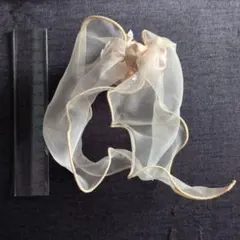 Item thumbnail for item adb8ad5b-3201-44c8-b0b8-db2a6a35b406