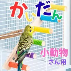 Item thumbnail for item a5316ca9-1767-4e65-9aba-87df94ddd39e