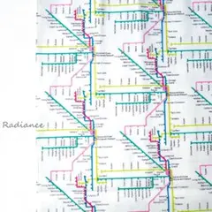 SALE252.地下鉄マップ柄☆アメリカ☆USAコットンシーチング☆白