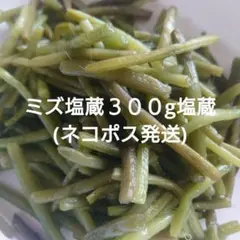 2025年最新】山菜 塩漬けの人気アイテム - メルカリ
