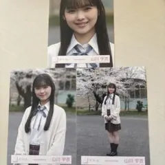 Item thumbnail for item 2fafce65-5b6a-40ad-ad82-f847538ea6c2