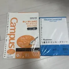 Item thumbnail for item ab0dfbca-7d05-4fd6-950c-b0725ca2092e