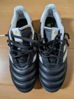 Item thumbnail for item 16910922-7c6d-427f-b687-c9a595bdbc49