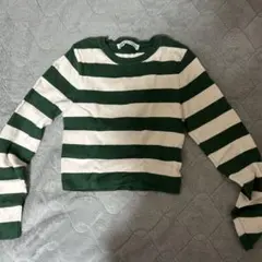 ZARA 緑と白のストライプ クロップドニット