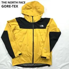 【極美品】 ノースフェイス マウンテンパーカー ゴアテックス 防水 L