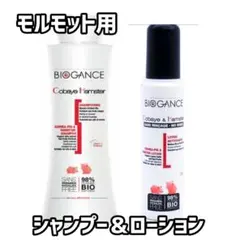 Item thumbnail for item 5010517b-05ab-418f-a3cc-b20f8e565b1b