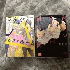 Item thumbnail for item 9c84c149-6f69-4a10-929f-3bb1aef3ae7c