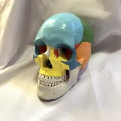 Item thumbnail for item cb028eaf-2c85-49e9-b66f-287d6bbe43dd