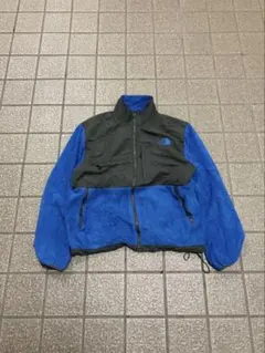the north face fleece jacket Blue