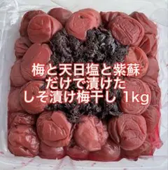 紀州南高梅 訳あり 梅と天日塩と紫蘇だけで漬けた しそ漬け梅干し 1kgのサムネイル