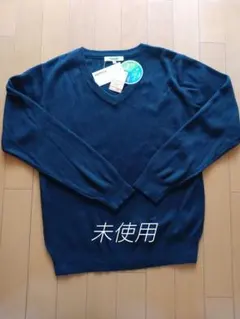 Item thumbnail for item c12f6b54-aa25-40fa-abef-a23de3055c6c