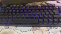 APEXPROTKL2024
