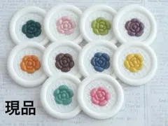 シーリングスタンプ　カメリア