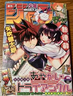 魔法使いtai!キャラクターファイル - メルカリ