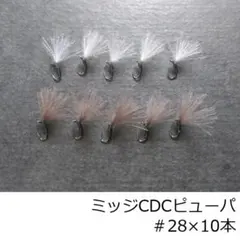 Item thumbnail for item 16c27572-12dc-42e6-ae44-39246895758b