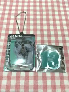 超特急REAL?ブリスターキーホルダー ペンライトアクセサリーアロハ 2点セット