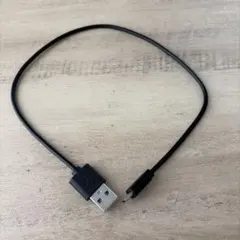 最終値下げ！ Cタイプ 充電ケーブル たまごっちユニ たまごっちuni
